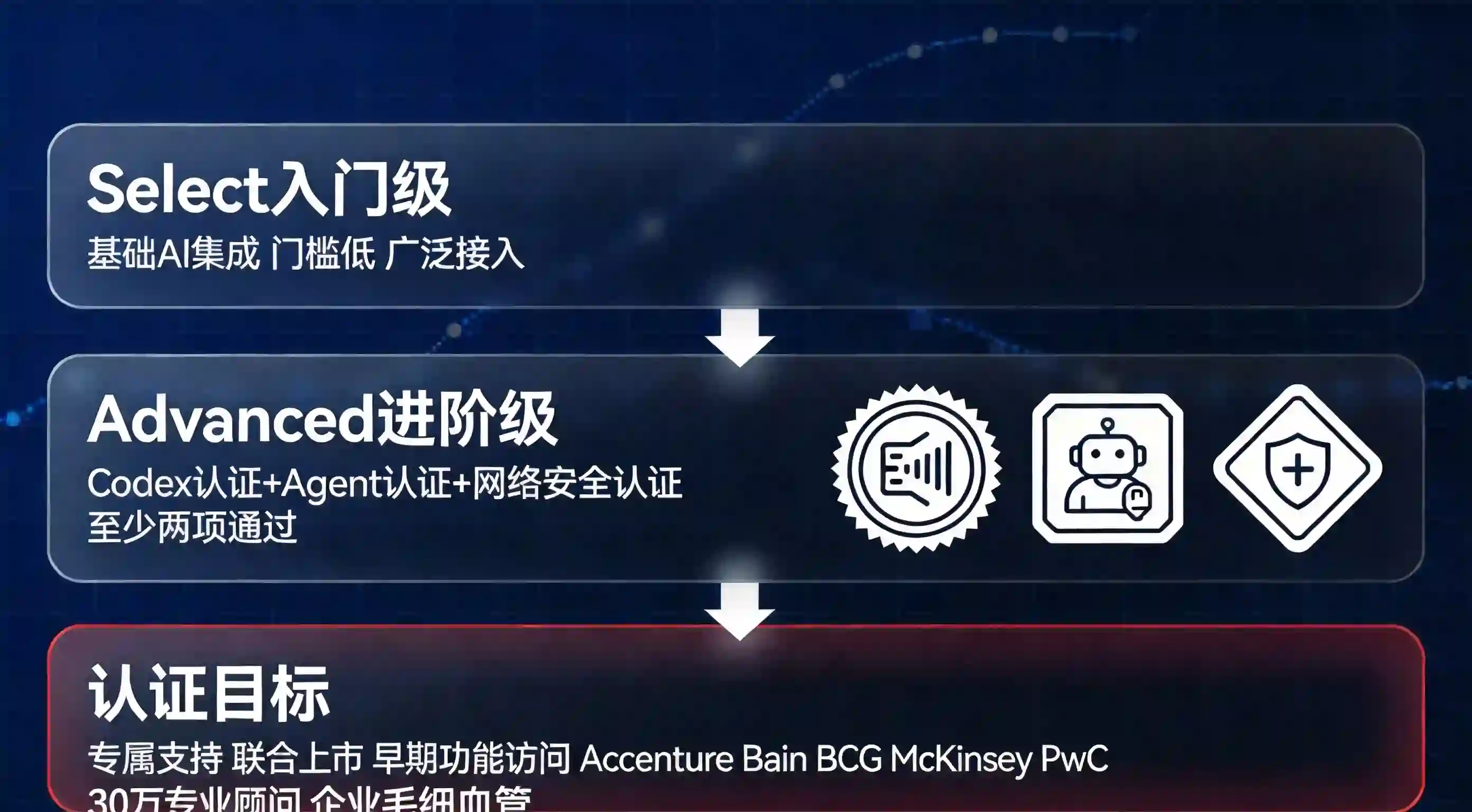 OpenAI Partner Network三级认证架构图